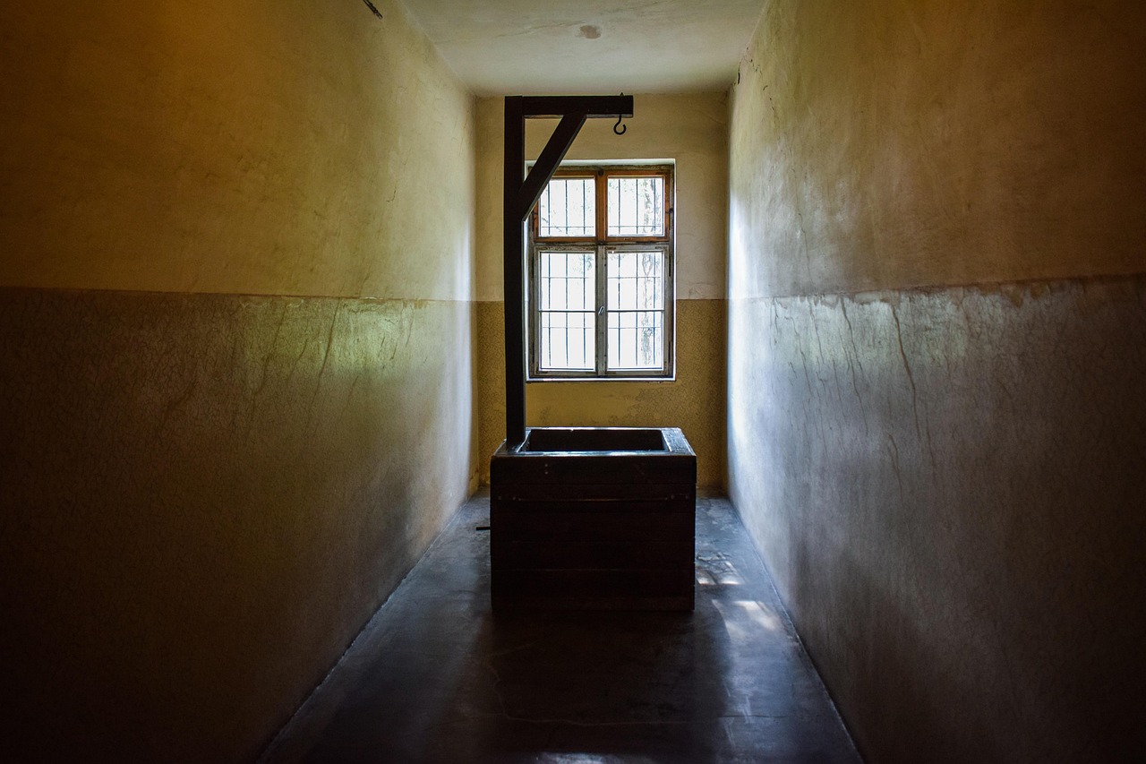 霸御乾坤:代理平台如何引流