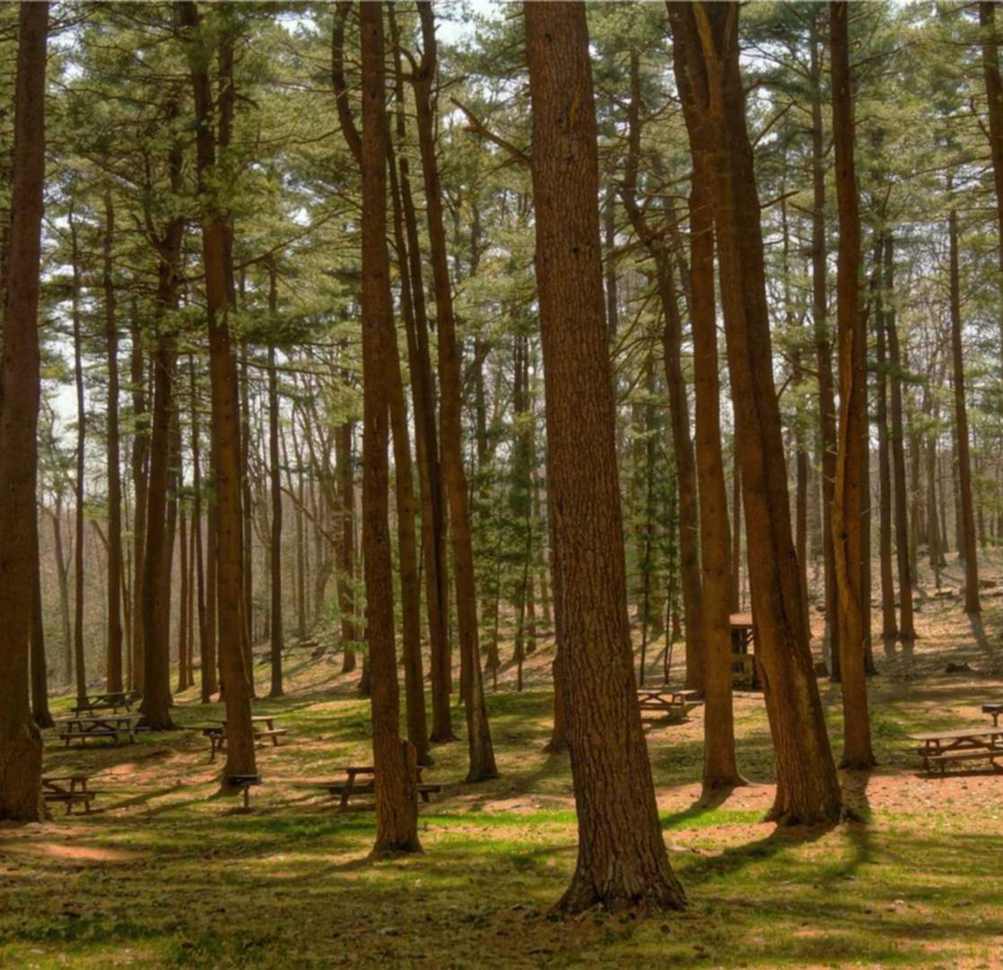 实名账号为互联网医疗带来新机遇