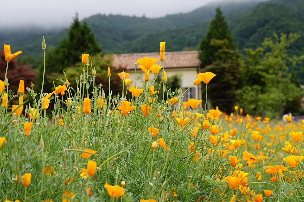 云烟百味人生:外卖平台代理业务