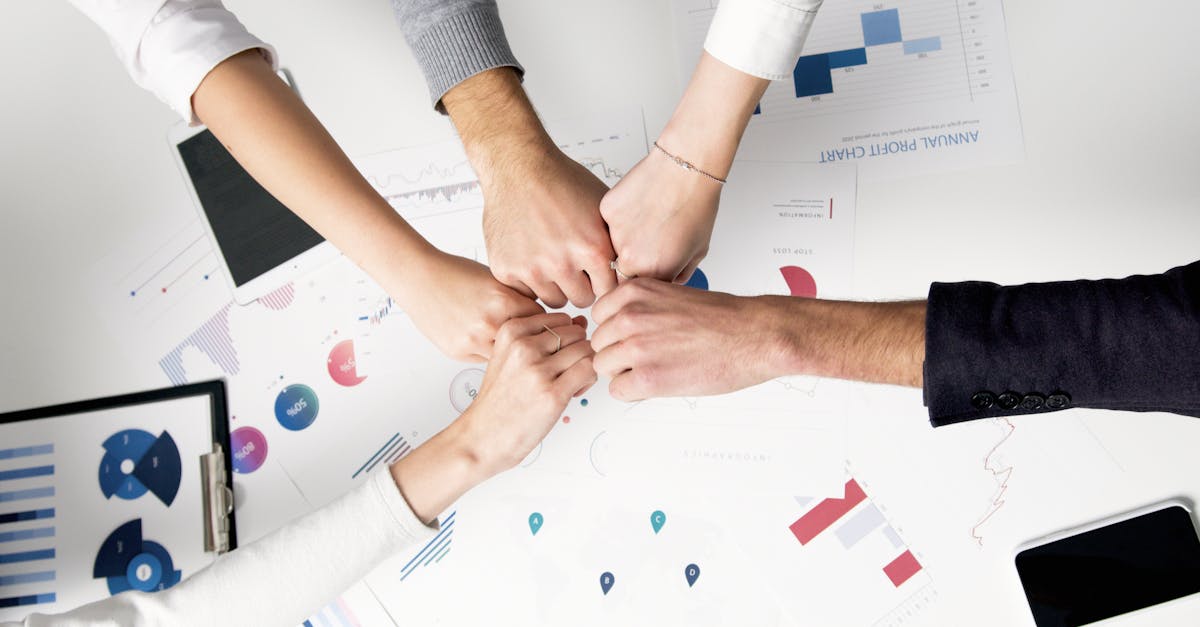 Bohem宝恒树叶双爆珠：孕育管家app详情下载教程