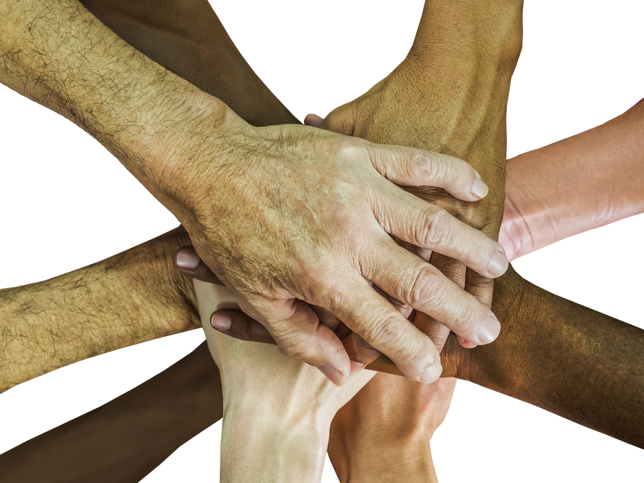 DDOS平台|浙江民办公司代理注册要求