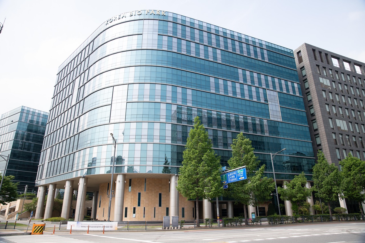 天启ip实名账号：猫 直播app详情下载教程