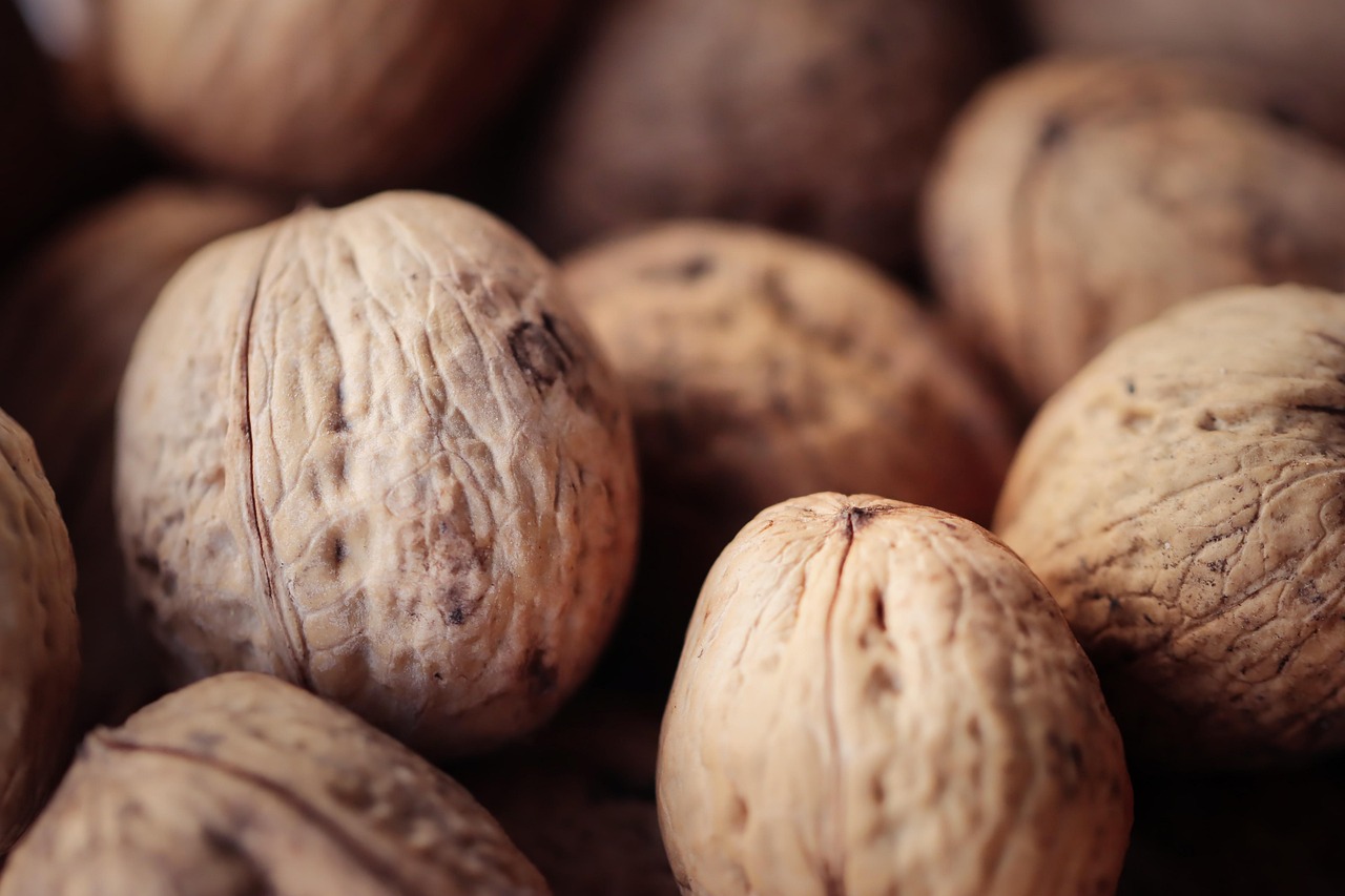 七星柔和(7mg):清洁分公司注册代理