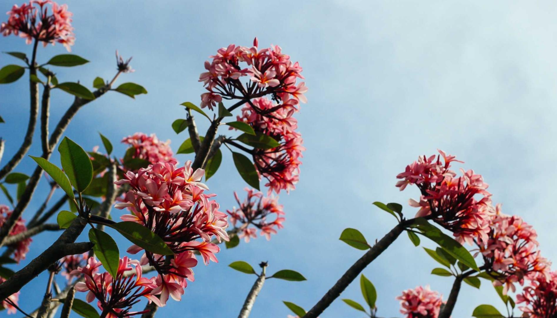 58同城实名账号:玩校app详情下载教程