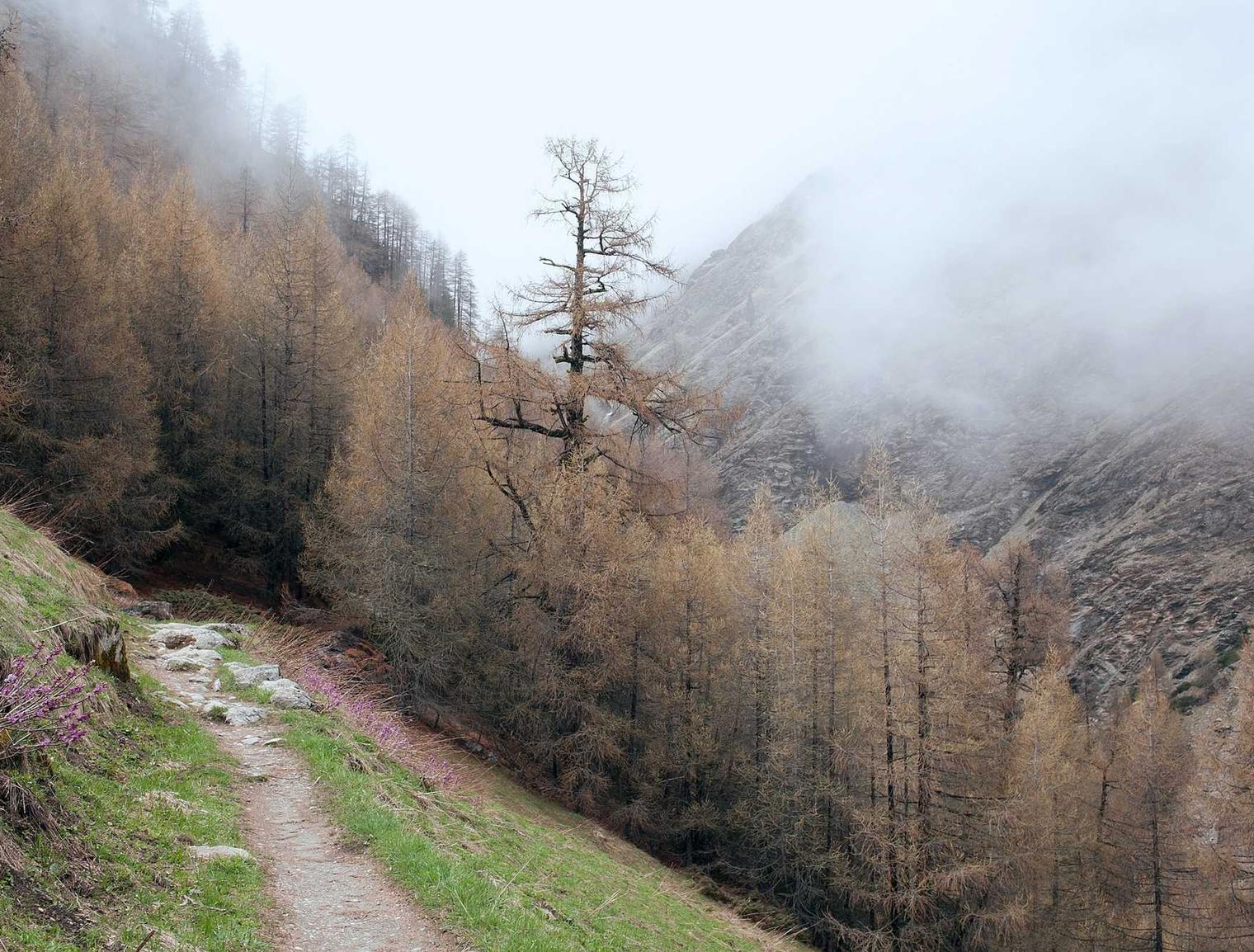 漏洞复现神器推荐,助你事半功倍
