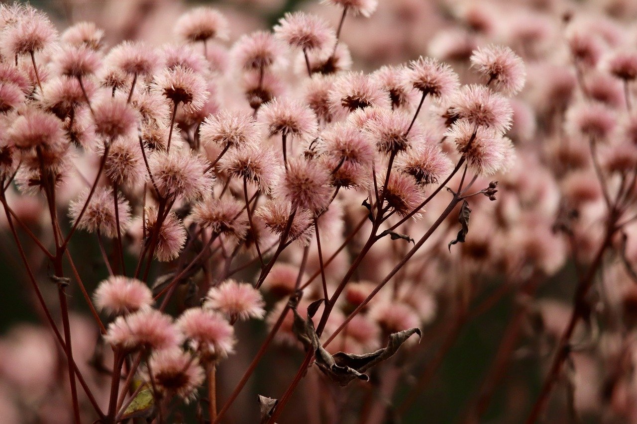 云烟百味人生:注册海南公司代理记账