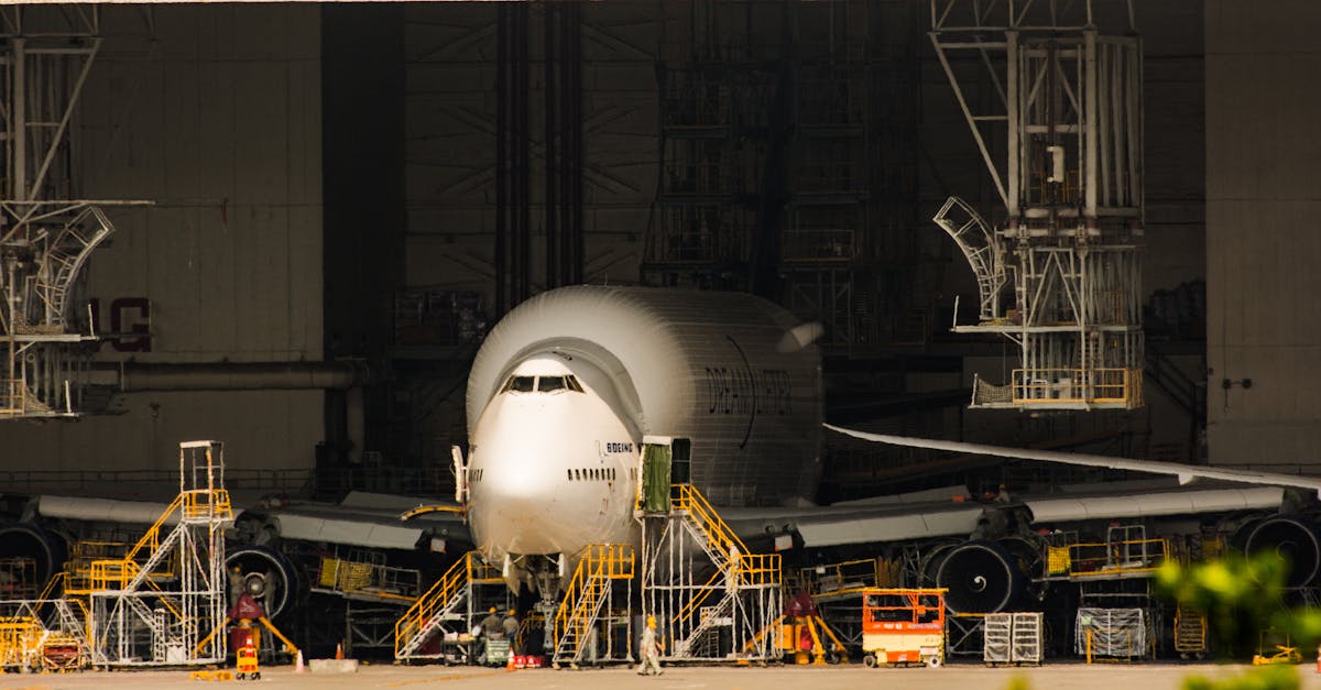 日税樱桃魔鬼：西华注册公司代理