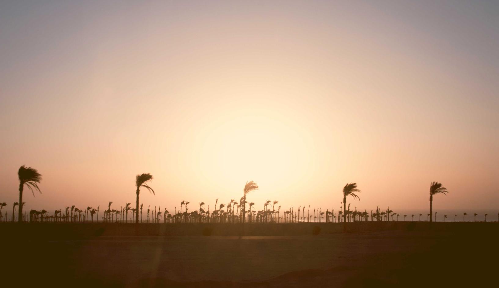 网页DDOS攻击平台|大数据时代，如何分析黑客攻击模式