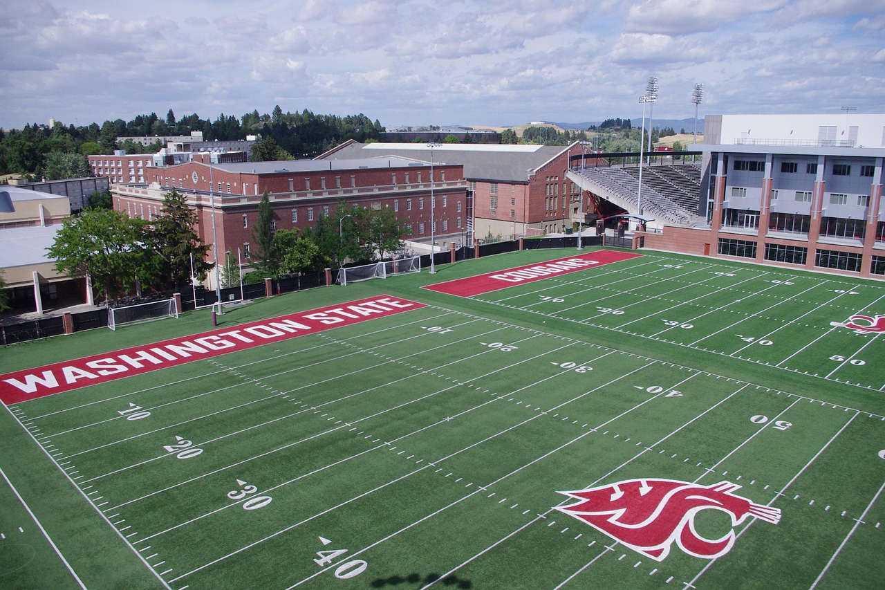 如何使用SEO指南来提高SEO排名